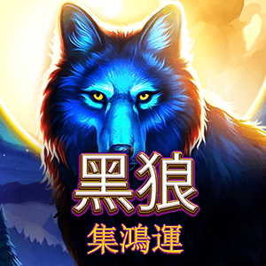 黑狼-集鴻運