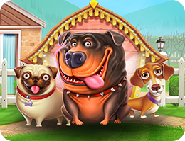 汪汪之家多方位持控