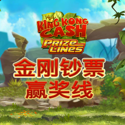金刚钞票 赢奖线