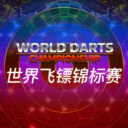 世界飞镖锦标赛