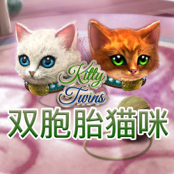 双胞胎猫咪