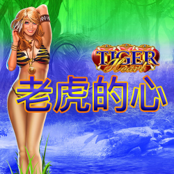 老虎的心